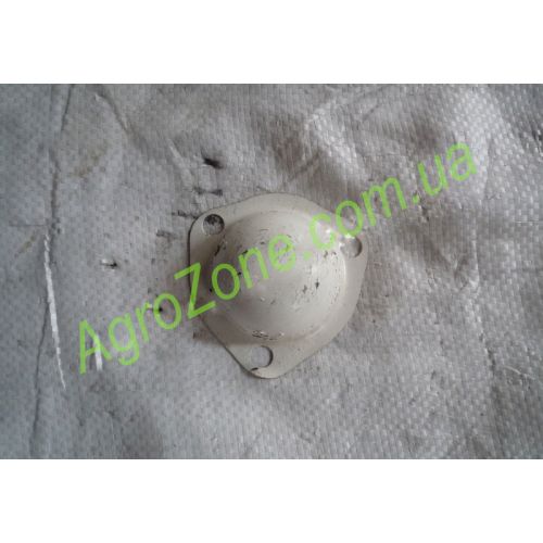 Колпачек перед колеса (ступицы)Xingtai 24B, Shifeng 244,Taishan 25 12.31.101