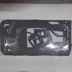 Комплект прокладок двигуна QC495/QC498