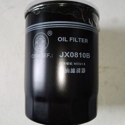 Фільтр масляний JX0810B (WB202) D=18 М20х1,5 оригінал Донг Фенг 244/240